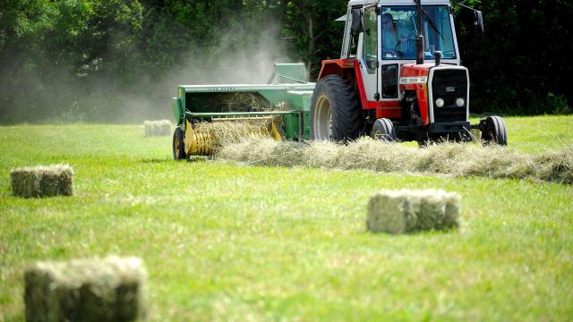 Champs de culture du foin AOC de la Crau.
Les andains de foin sont mis en balle ou botte avant leur chargement sur tracteur.
www.ericfabrer.fr - contact@ericfabrer.fr - + 33 6 62 36 20 91 - Haute définition sur demande.