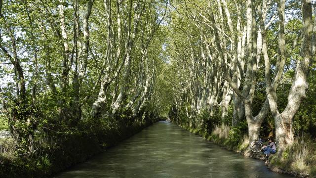 Cyclisme dans la plaine de la Crau, le Canal de Craponne.
www.ericfabrer.fr - contact@ericfabrer.fr - + 33 6 62 36 20 91 - Haute définition sur demande.