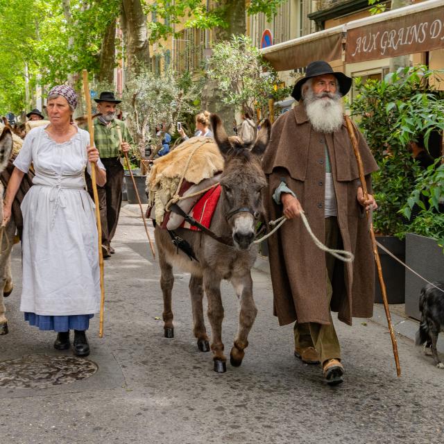 La Transhumance