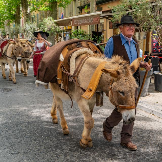 La Transhumance