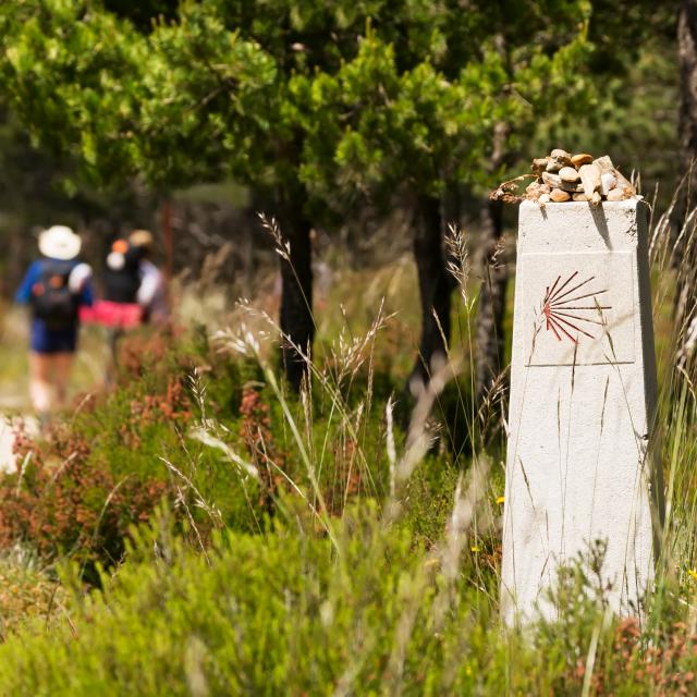 way of st James to Compostela , scallop shell signal for pilgrims