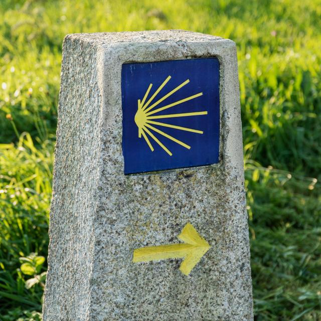 Way of St. James sign. Yellow scallop sign pilgrimage to Santiago de Compostela