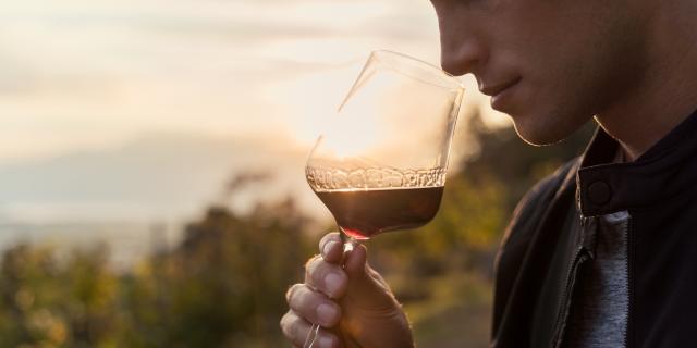 tasting red wine in a vineyard