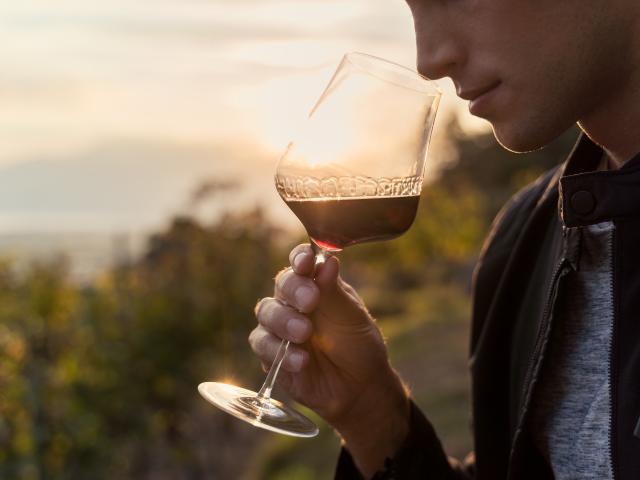 tasting red wine in a vineyard