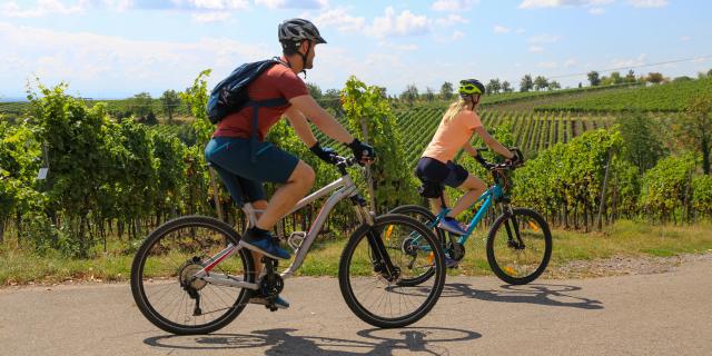 Symbolbild: Junges Paar bei einer Fahrradtour in den Weinbergen, hier in der Pfalz nähe Neustadt an der Weinstraße (Model released)